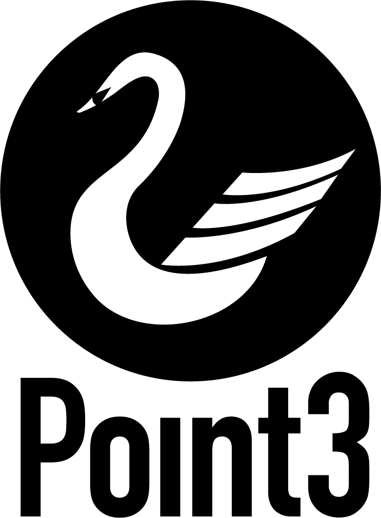 Point3 Security Inc Logo